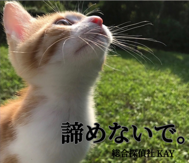 諦めないで